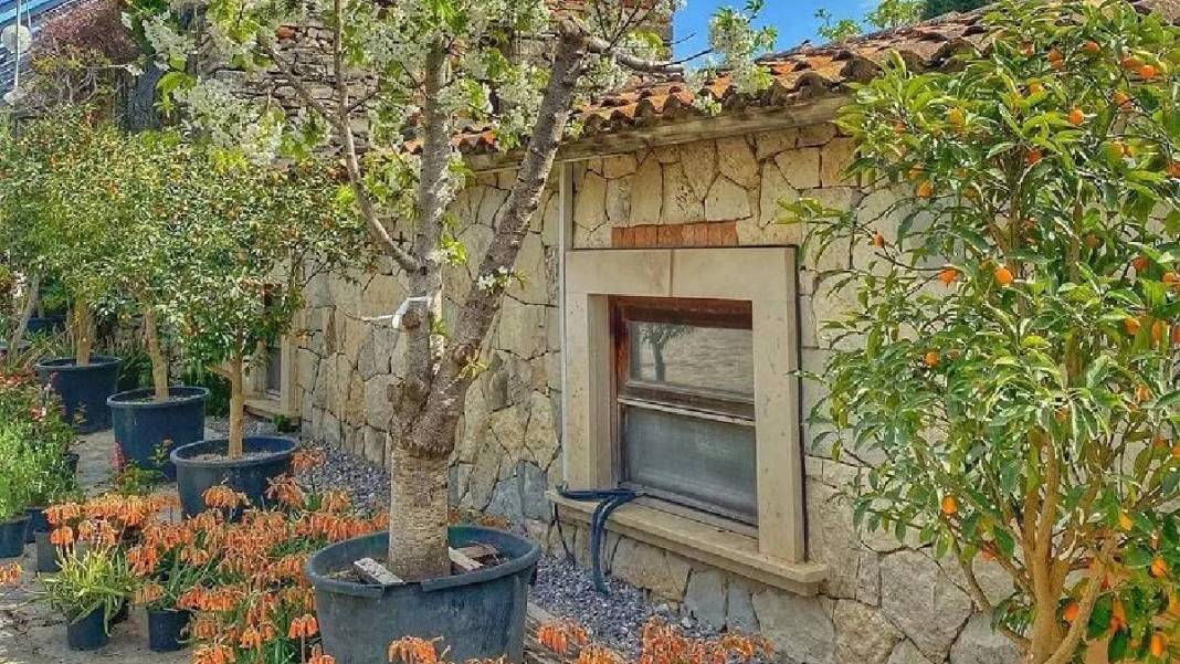 Ege’de saklı bir Avrupa! Zeytinliklerin arasında taş evli huzur köyü: Gideni büyülüyor 2